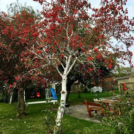 Apartamenty Nexo Apart-hotel 3*