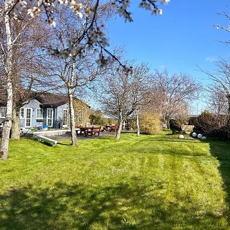 Lägenhetshotell Apartamenty Nexo