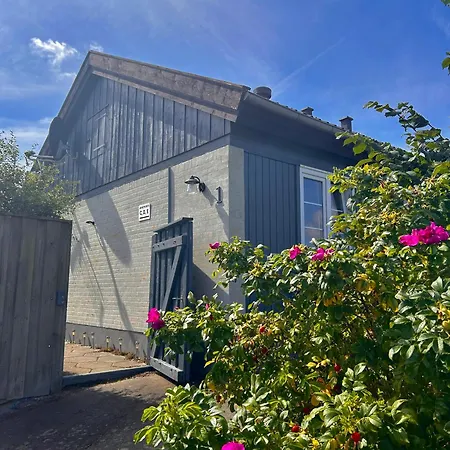 Lägenhetshotell Apartamenty Nexo *