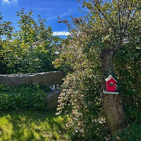 Lägenhetshotell Apartamenty Nexo