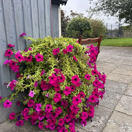 Apartamenty Nexo 3* Neksø