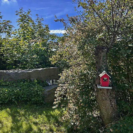 Apart-hotel Apartamenty Nexo